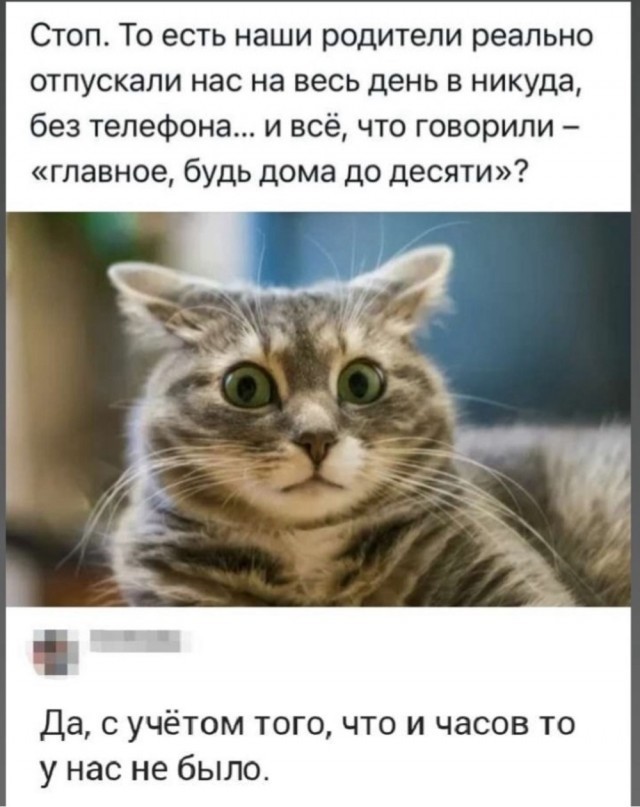Немного картинок