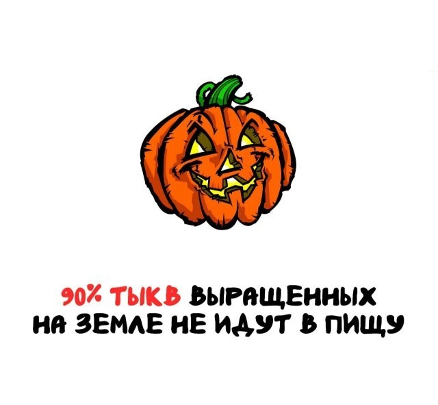 Интересные и короткие факты на все случаи жизни 05.01.26