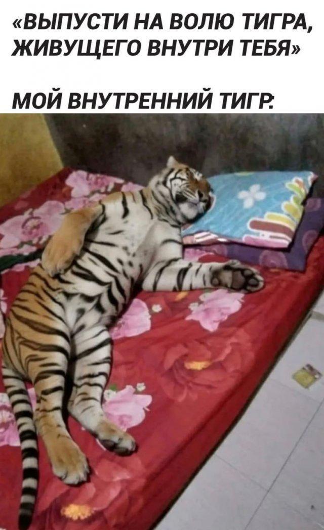 Воскресные картинки