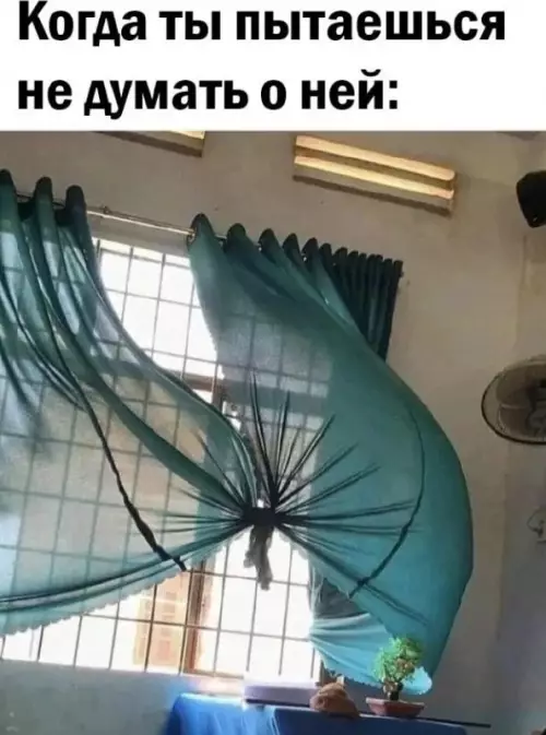 Картиночки, баянчики 13 марта