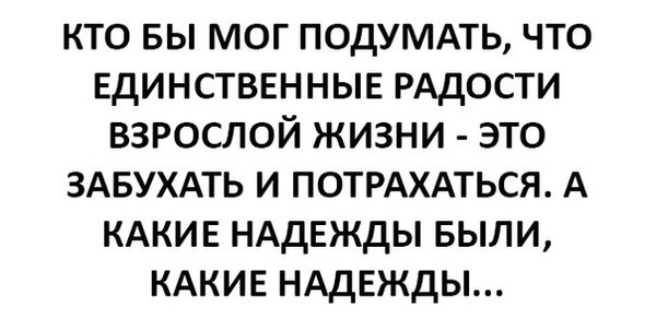 Прикольные комментарии для поднятия настроения: «Это был мой пик»