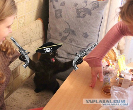 Стоять бояться!