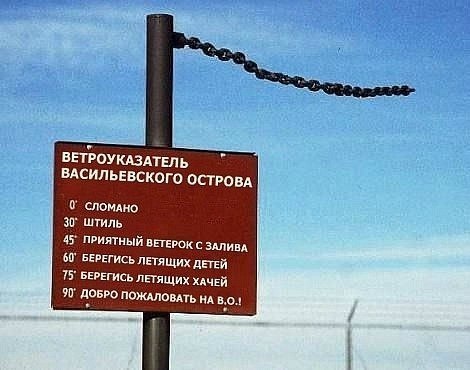 Картинки