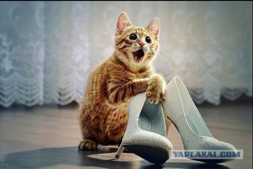 Не удержалась