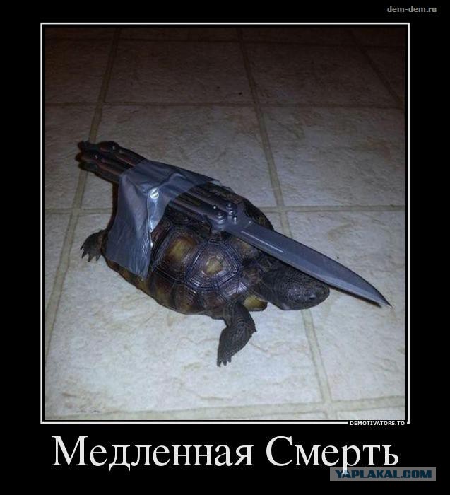 Немного позитива на пятницу