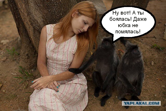 ну вот а ты боялась. а ты боялась даже юбка. нормальные картинки. мем просто друг и парень. задралось платье в машине.