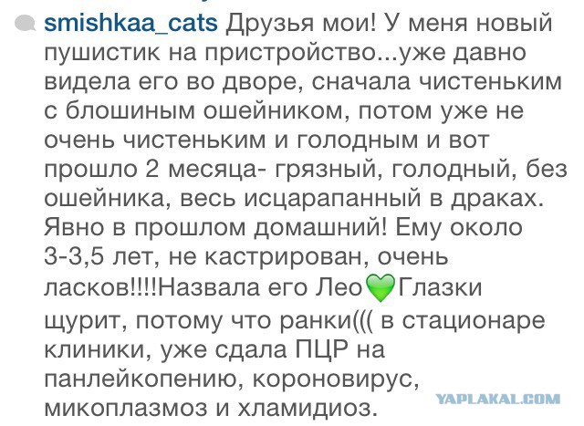 Мартовский крик...о помощи!