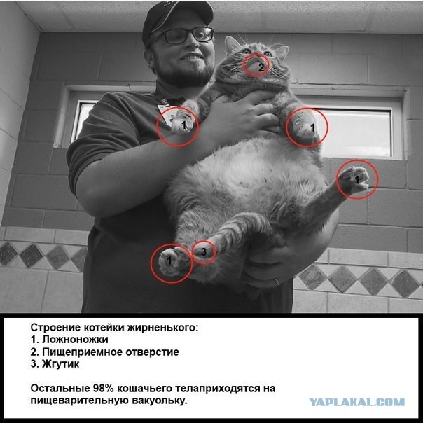 Смешные картинки №...дцать