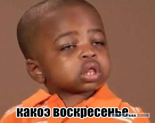Немного прикольных GIF-ок на воскресение
