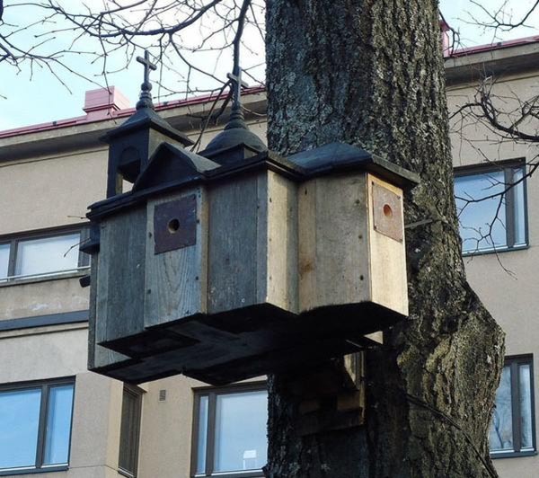 Картинки,гифки.