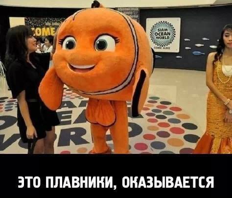 Подборка Картинок из сети