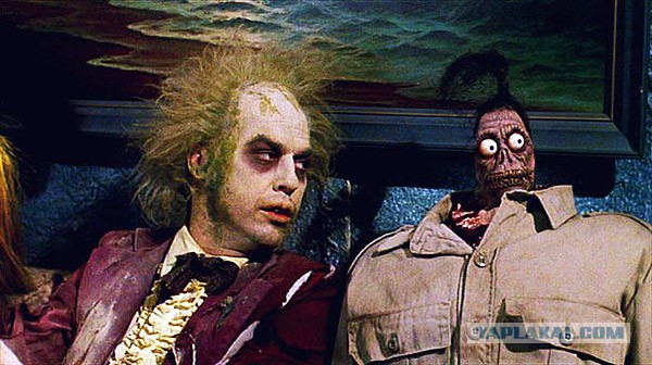 Как выглядит белая горячка со стороны