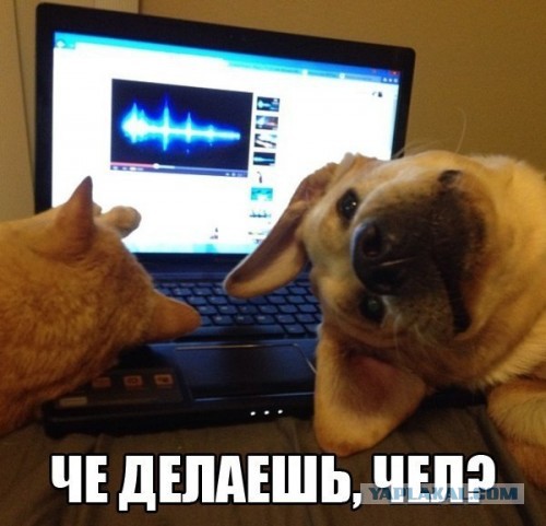 Веселые картинки