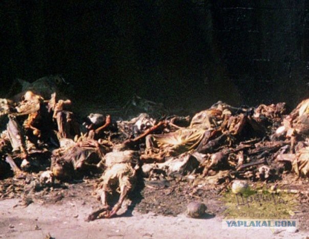 Путешествие по Ирану