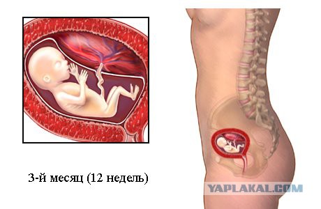 Подслушано