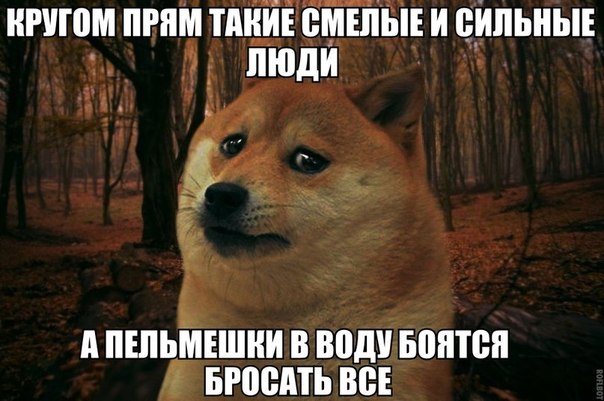 Всячина. Картинки и тексты картинками