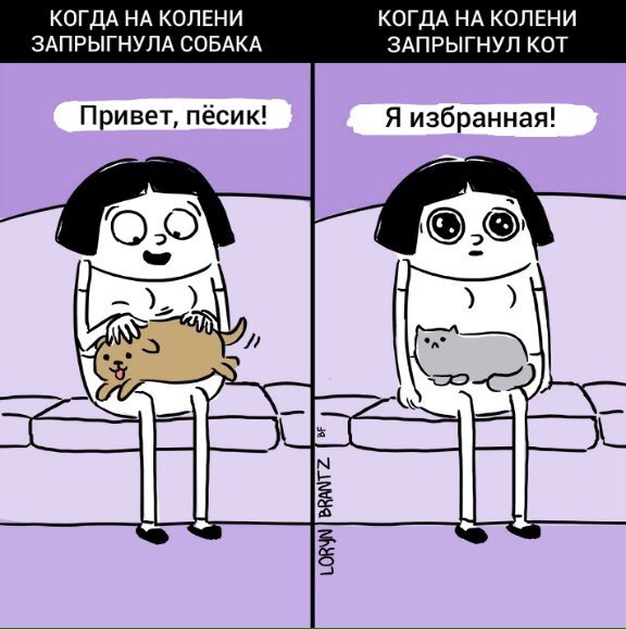 Подборка интересных и веселых картинок