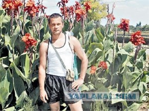 Немного о хорошем