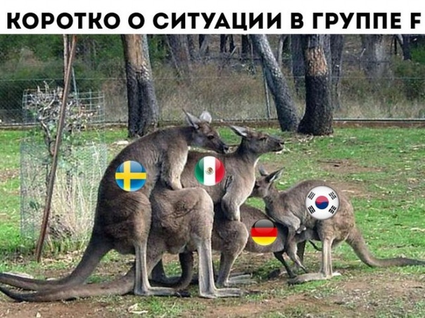 Не очень адекватный юмор