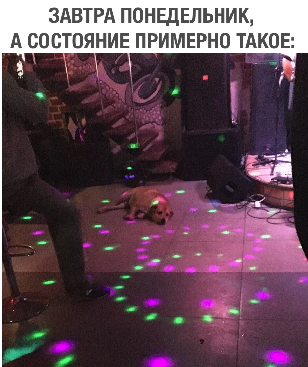 Нестандартный юмор
