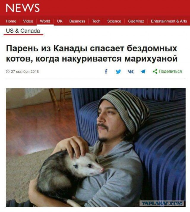 Немного картинок на вечер