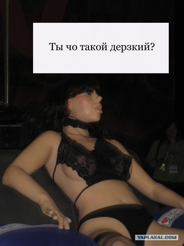 Создан первый в мире секс-робот