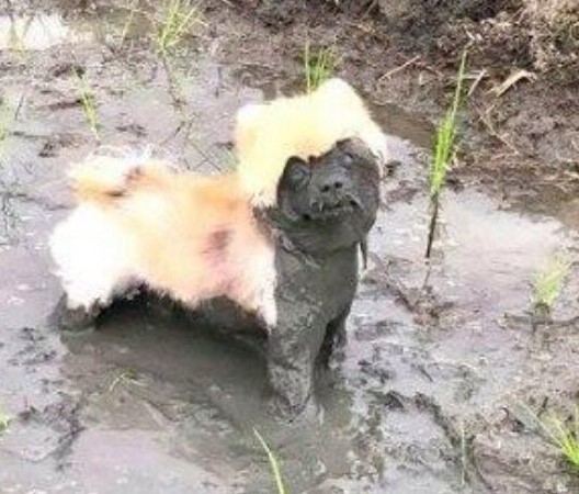 Новый "КОКОС", внеконкурсные рассказы