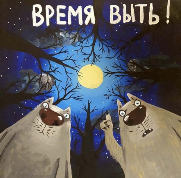 Прикольные и просто красивые картинки 06.11.2020