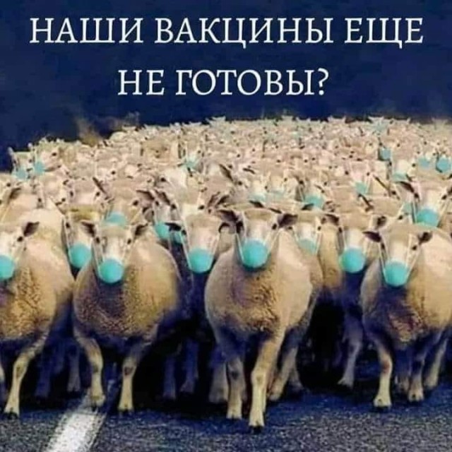 Депутат Госсовета Татарстана от ЕР назвал антипрививочников «безмозглыми баранами».