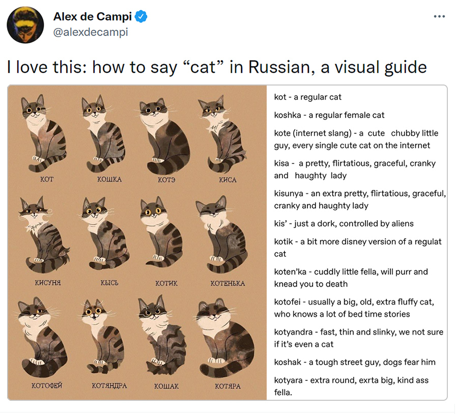 Как называют кошек в России: наглядное пособие, сделанное американкой. И  дополнение к нему - ЯПлакалъ