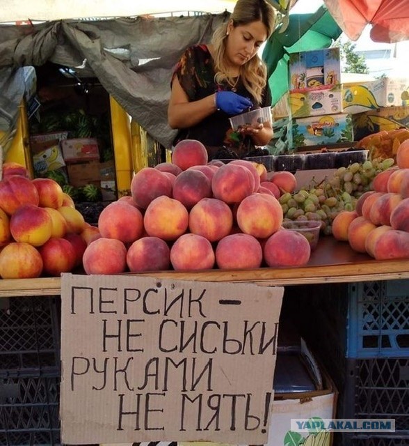 Курорты Краснодарского края