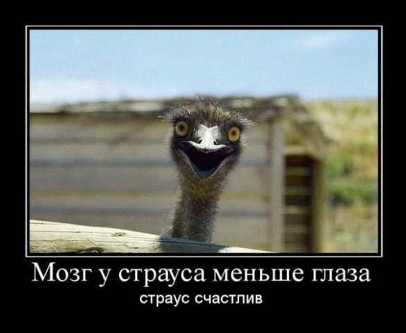 Так себе картинки 24.06.22