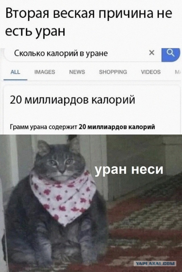 Ай нид хелп