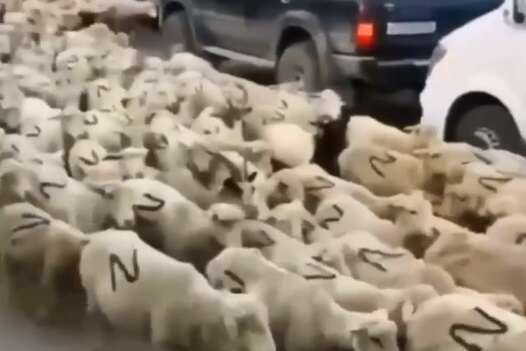 Украина исчезнет, потому что она «не нужна никому на планете», заявил Медведев