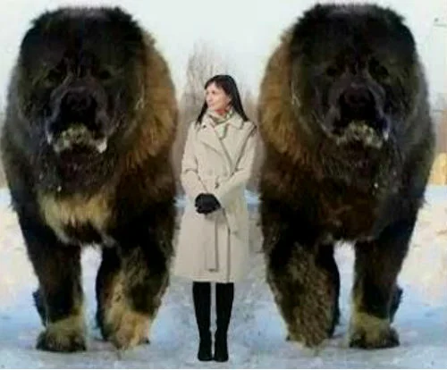 Женщины, а вы массируете стопы своим мужьям?
