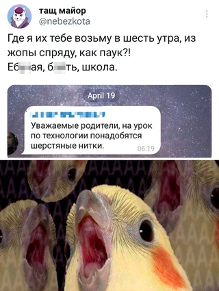 Картинки и мемы для настроения - 167