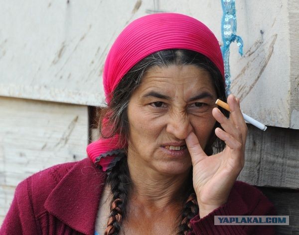 Цыганские бароны: кто они и откуда берут деньги на огромные особняки с крутыми тачками?