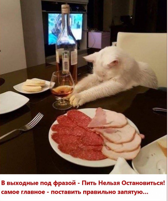 Нажрался и спит