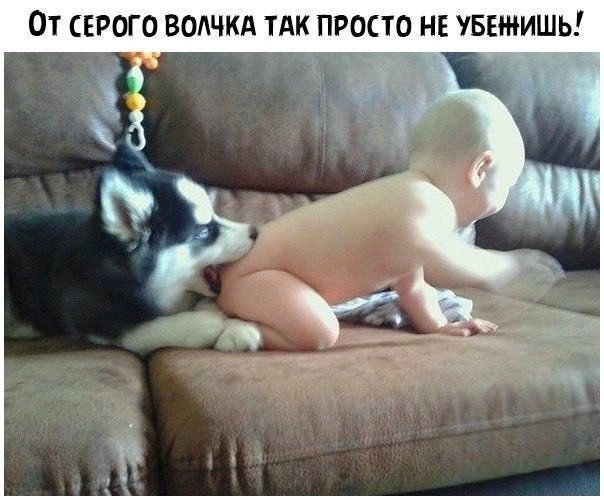 Картинки для...