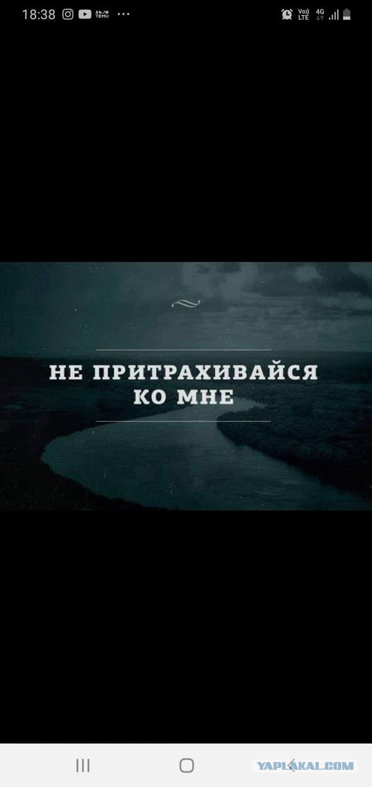 Субботние картинки