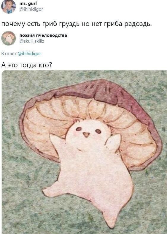 Среды картинки