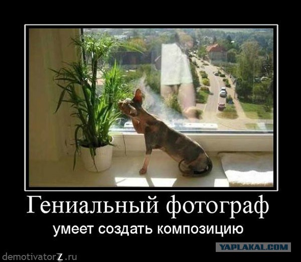 Ах эта тень...