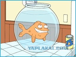 Как изобрели суши