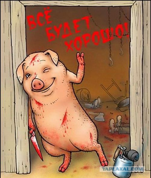 Демотиваторы вторника