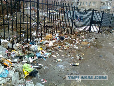 Россия на последних местах в рейтинге Радужной