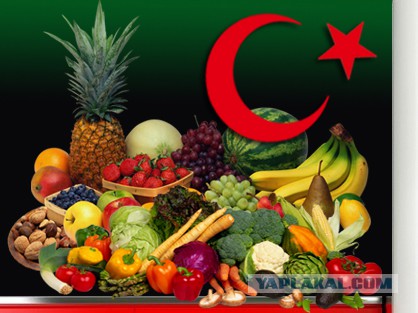 Турция начала прямые поставки продуктов в Крым