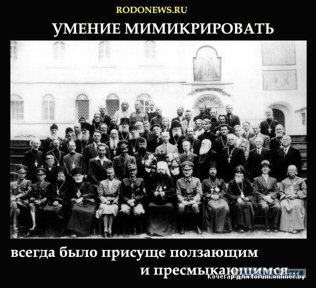 Куда скатились фильмы о войне?