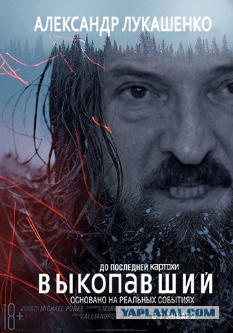 Злые шутки или минутка сарказма на ЯП-е, 16+