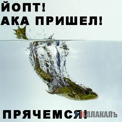 Уже да :) Ужо пятнецца...