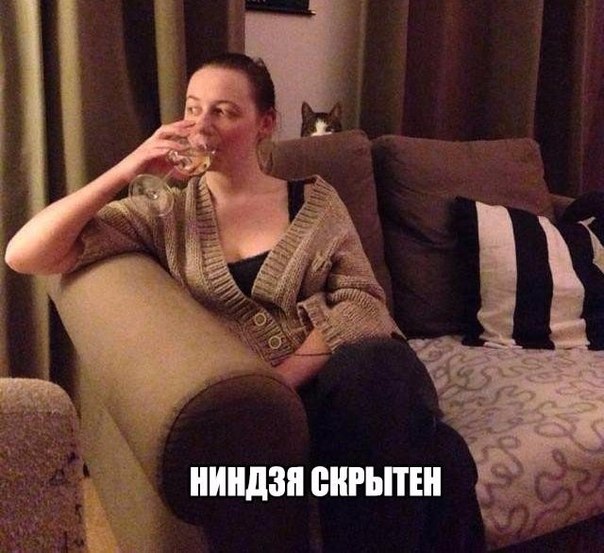 Картинок пост